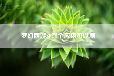 梦幻西游SF哪个应用可以刷