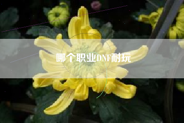 哪个职业DNF耐玩