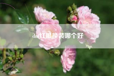 dnf红眼换装哪个好