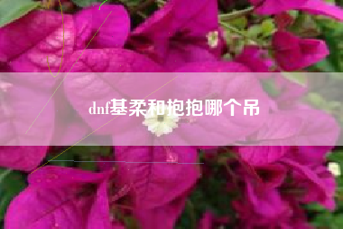 dnf基柔和抱抱哪个吊