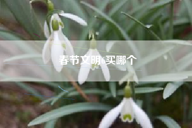 春节文明6买哪个