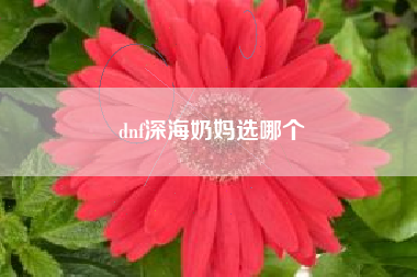 dnf深海奶妈选哪个