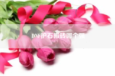 DNF护石搬砖哪个强