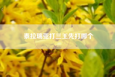 泰拉瑞亚打三王先打哪个