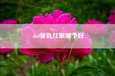 dnf复仇红眼哪个好