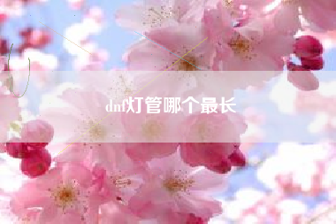 dnf灯管哪个最长