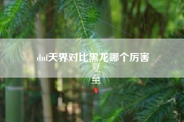 dnf天界对比黑龙哪个厉害