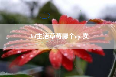 dnf生活草莓哪个npc卖