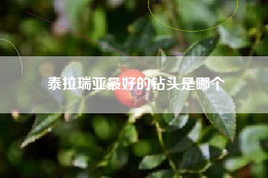 泰拉瑞亚最好的钻头是哪个