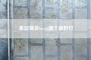 泰拉瑞亚bosch哪个最好打