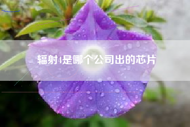 辐射4是哪个公司出的芯片