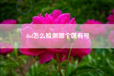 dnf怎么检测哪个区有号