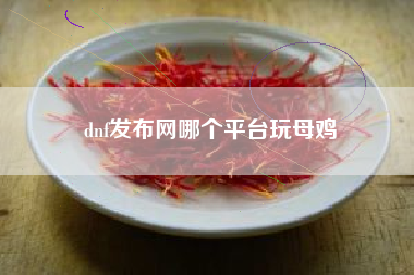 dnf发布网哪个平台玩母鸡