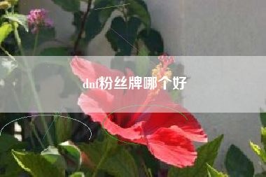 dnf粉丝牌哪个好