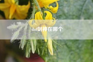 dnf剑神在哪个