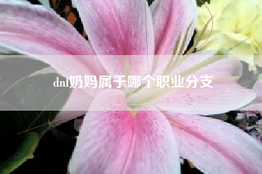 dnf奶妈属于哪个职业分支