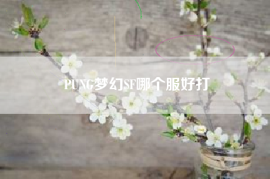 PUNG梦幻SF哪个服好打