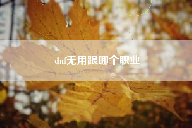 dnf无用跟哪个职业