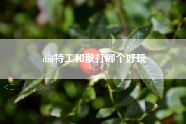 dnf特工和散打哪个好玩