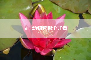 dnf 动物套哪个好看