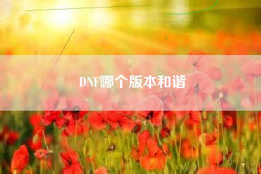 DNF哪个版本和谐