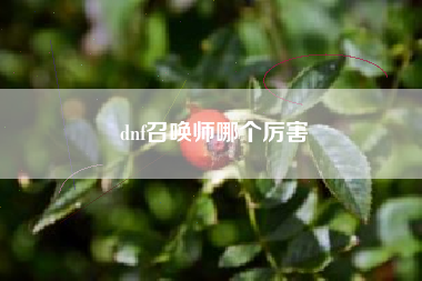 dnf召唤师哪个厉害