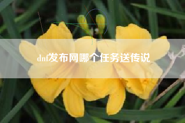 dnf发布网哪个任务送传说