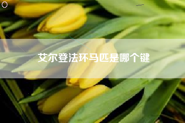 艾尔登法环马匹是哪个键