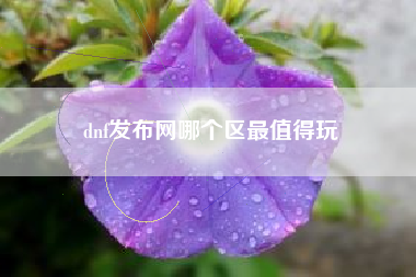 dnf发布网哪个区最值得玩