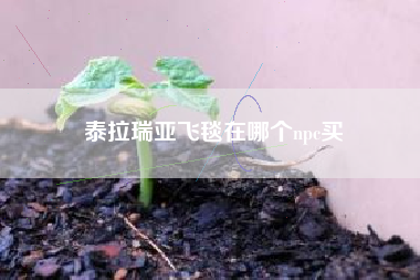 泰拉瑞亚飞毯在哪个npc买