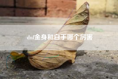 dnf金身和白手哪个厉害