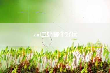 dnf三奶哪个好玩