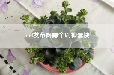 dnf发布网哪个刷神器快