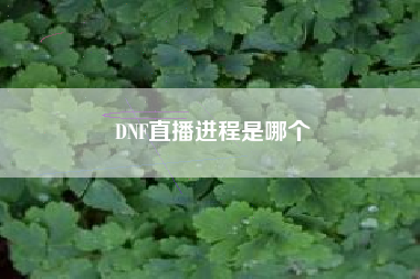 DNF直播进程是哪个