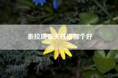 泰拉瑞亚天柱塔哪个好