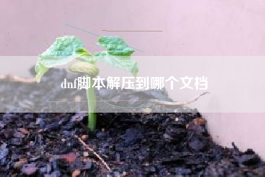 dnf脚本解压到哪个文档