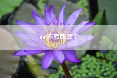 dnf不转职哪个