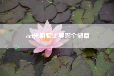 dnf光明骑士要哪个徽章