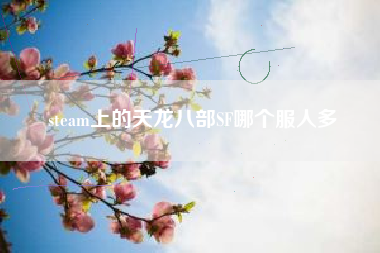 steam上的天龙八部SF哪个服人多