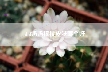 dnf奶妈权杖皮肤哪个好