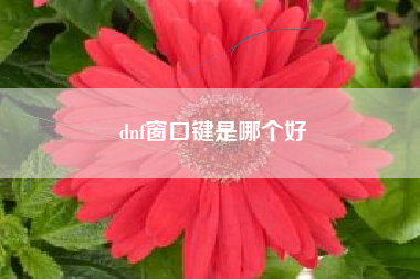 dnf窗口键是哪个好