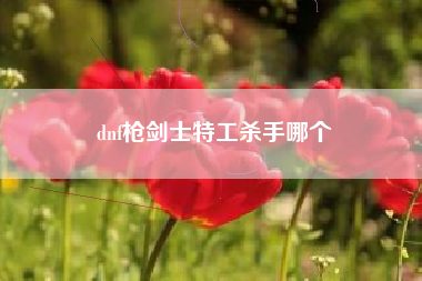 dnf枪剑士特工杀手哪个