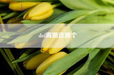 dnf离婚选哪个