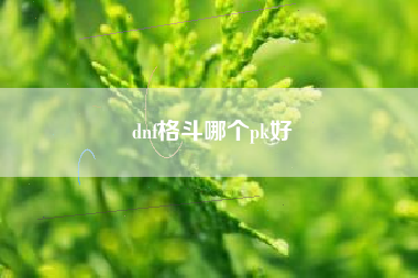 dnf格斗哪个pk好