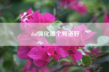 dnf强化哪个频道好