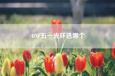 DNF五一光环选哪个