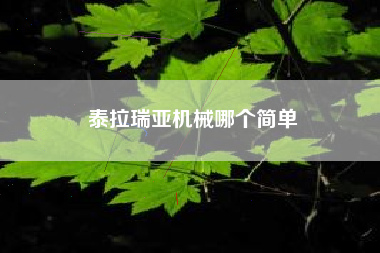 泰拉瑞亚机械哪个简单