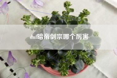 dnf暗帝剑宗哪个厉害