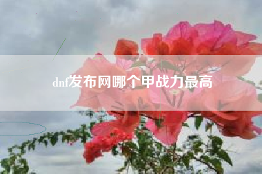 dnf发布网哪个甲战力最高