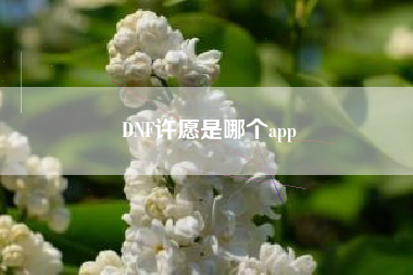 DNF许愿是哪个app